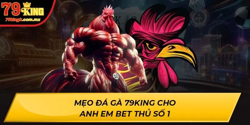 Mẹo Đá Gà 79KING cho anh em bet thủ số 1